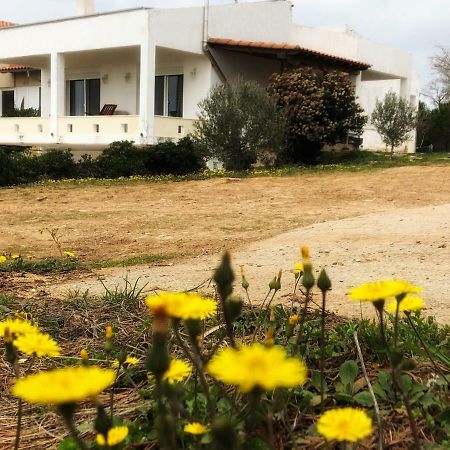 Вілла The Hillhouse Near Alexandroupolis Екстер'єр фото